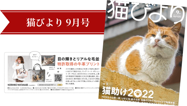 猫びより 9月号